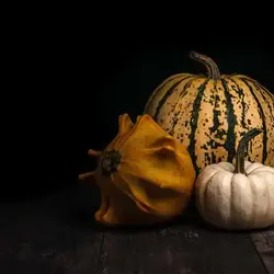 Citrouille