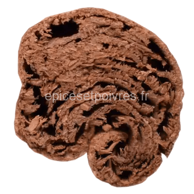 Cannelle baton 2