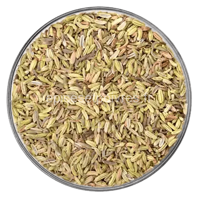 Fenouil