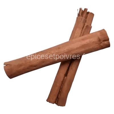 Cannelle baton